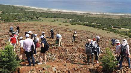 Salda Gölü kenarına 300 fidan dikildi