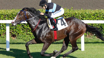 96. Gazi Koşusu öncesi son virajlar dönüldü Provayı Final Dance kazandı