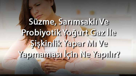 Süzme, Sarımsaklı Ve Probiyotik Yoğurt Gaz İle Şişkinlik Yapar Mı Ve Yapmaması İçin Ne Yapılır (Yetişkinlerde Ve Bebeklerde) Süzme, Sarımsaklı Ve Probiyotik Yoğurt Gaz İle Şişkinlik Yapar Mı Ve Yapmaması İçin Ne Yapılır (Yetişkinlerde Ve Bebeklerde)