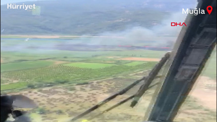 Köyceğiz Gölü kenarında bulunan sazlık alanda yangın çıktı