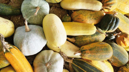 Çiftlikte üretim de ürünler de rafine