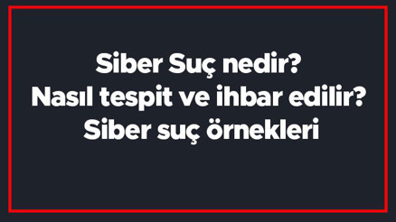 Siber Suç nedir Nasıl tespit ve ihbar edilir Siber suç örnekleri