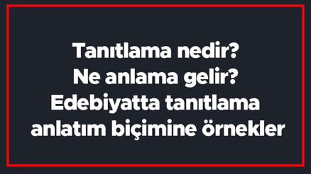 Tanıtlama nedir Ne anlama gelir Edebiyatta tanıtlama anlatım biçimine örnekler Tanıtlama nedir Ne anlama gelir Edebiyatta tanıtlama anlatım biçimine örnekler