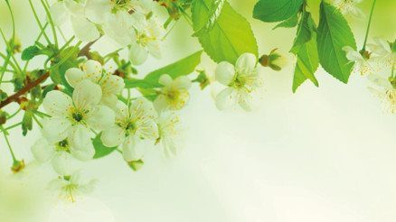 Çiçeklerle süslü, mis kokulu rotalar