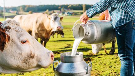 Süt ihracatında yeni yol haritası