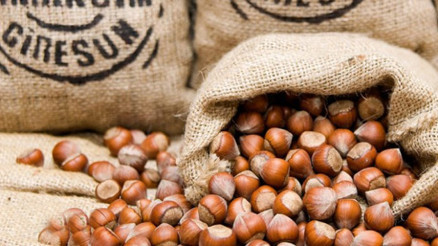 Giresunun Tombul Fındığı, AB tarafından tescillendi