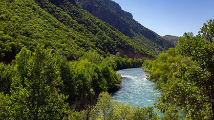 Tunceli’de 15 Haziran- 31 Ekim arası köylüler dışında ormanlara giriş yasaklandı