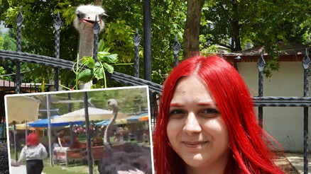 Deve kuşunun kovaladığı Kardelen yaşadıklarını anlattı