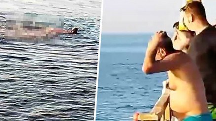 Kızıldenizde can pazarı... Köpekbalığı saldırdı Dehşet dolu anlar kamerada