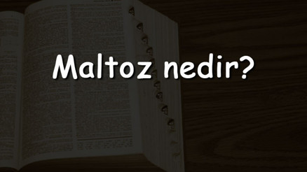 Maltoz nedir Neyden oluşur ve nerede üretilir Bitkilerde maltoz bulunur mu Maltoz nedir Neyden oluşur ve nerede üretilir Bitkilerde maltoz bulunur mu