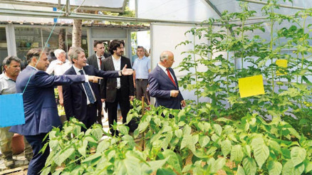 Liseliler tarım yapacak