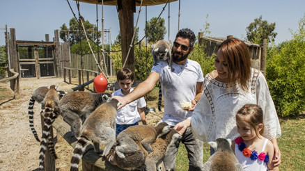 Şehirde kalanlara bayram önerileri...