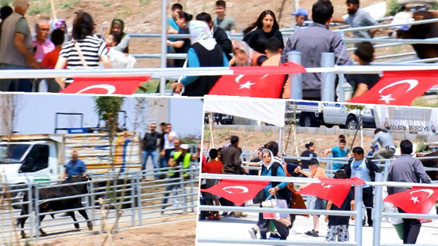 Panik anları... Kesim sırasında kaçan boğa, kalabalığın arasına koştu Panik anları... Kesim sırasında kaçan boğa, kalabalığın arasına koştu
