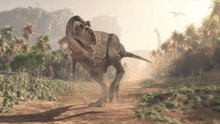 Arjantinde büyük kafalı ve küçük kollu yeni bir dinozor keşfedildi