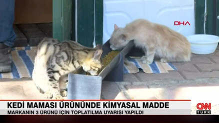 Kedi maması ürününde kimyasal madde
