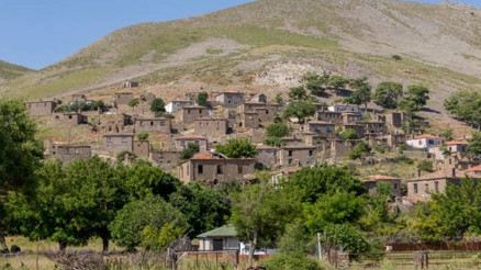 Bir adaya ağıt... Bir adaya ağıt...