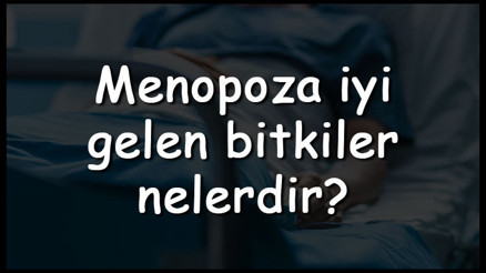Menopoza iyi gelen bitkiler nelerdir Menopoza iyi gelen bitki çayları ve tarifleri