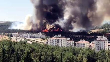Gaziantepte orman yangını Vali Gül duyurdu: Kontrol altına alındı