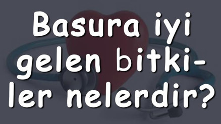 Basura iyi gelen bitkiler nelerdir Hemeroide iyi gelen bitki çayları ve tarifleri Basura iyi gelen bitkiler nelerdir Hemeroide iyi gelen bitki çayları ve tarifleri