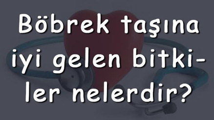 Böbrek taşına iyi gelen bitkiler nelerdir Böbrek taşına iyi gelen bitki çayları ve tarifleri