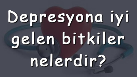 Depresyona iyi gelen bitkiler nelerdir Depresyona iyi gelen bitki çayları ve tarifleri