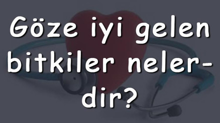 Göze iyi gelen bitkiler nelerdir Göze iyi gelen bitki çayları ve tarifleri