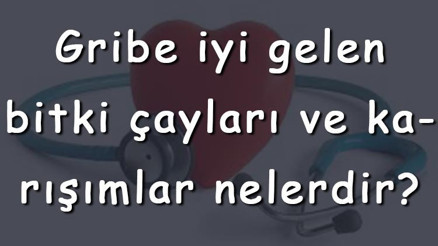 Gribe iyi gelen bitki çayları ve karışımlar nelerdir Gribe iyi gelen çay ve karışım tarifleri