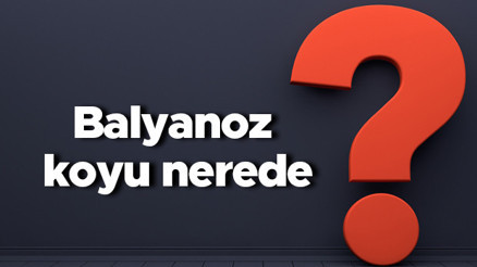 Balyanoz koyu nerede, nereye bağlı Balyanoz koyuna nasıl gidilir koyda neler yapılır