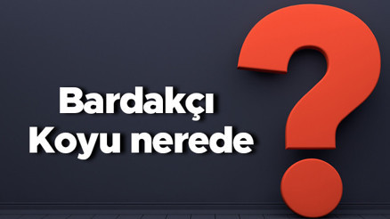 Bardakçı Koyu nerede, nereye bağlı Bardakçı koyuna nasıl gidilir koyda neler yapılır Bardakçı Koyu nerede, nereye bağlı Bardakçı koyuna nasıl gidilir koyda neler yapılır