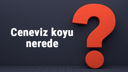 Ceneviz koyu nerede, nereye bağlı Ceneviz koyuna nasıl gidilir koyda neler yapılır