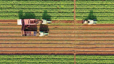 ‘Türkiye adına yurtdışında arazi kiralanmayacak’