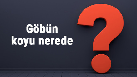 Göbün koyu nerede, nereye bağlı Göbün koyuna nasıl gidilir koyda neler yapılır