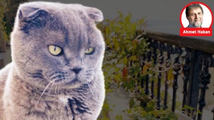 Kedim Sekter yazdı: Çok satanist bir yaklaşım