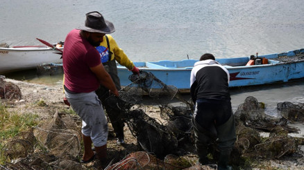 Hirfanlıda hayalet ağ katliamı
