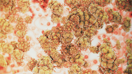 New Yorkta maymun çiçeği nedeniyle acil durum ilan edildi