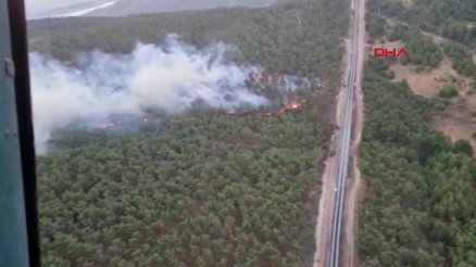 Manisa Somada orman yangını
