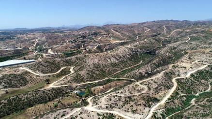 Manavgat ormanlarından sevindiren rapor