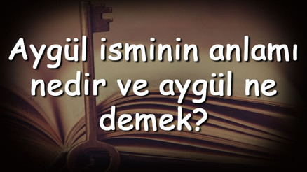 Aygül isminin anlamı nedir ve Aygül ne demek Aygül adının özellikleri, analizi ve kökeni