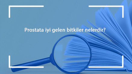 Prostata iyi gelen bitkiler nelerdir Prostata iyi gelen bitki çayları ve tarifleri