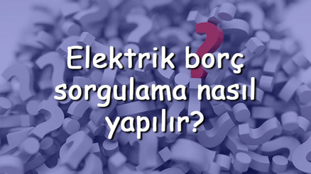 Elektrik borç sorgulama nasıl yapılır TC kimlik ile E-Devletten nasıl elektrik borcu sorgulanır