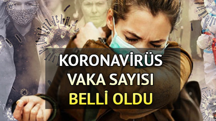 Koronavirüs vaka sayısı ne kadar Sağlık Bakanlığı 1-7 Ağustos corona virüs tablosunda son durum belli oldu İşte covid-19 hasta, vaka ve vefat oranı Koronavirüs vaka sayısı ne kadar Sağlık Bakanlığı 1-7 Ağustos corona virüs tablosunda son durum belli oldu İşte covid-19 hasta, vaka ve vefat oranı