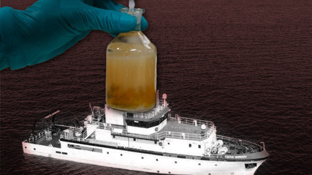 Marmarada korkutucu sonuç TÜBİTAK gemisi tespit etti