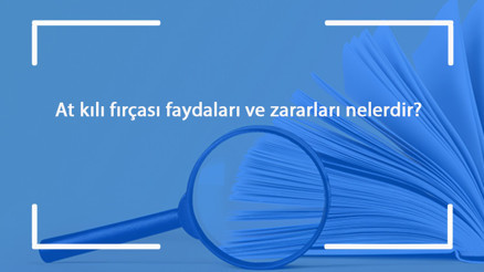 At kılı fırçası faydaları ve zararları nelerdir Nasıl kullanılır Özellikleri nelerdir