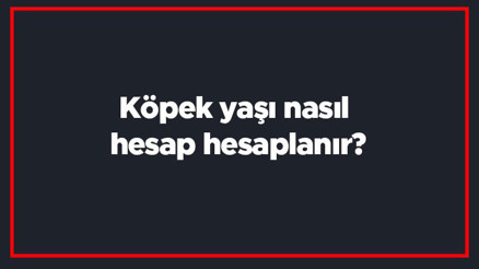 Köpek yaşı nasıl hesap hesaplanır Köpek yaşı hesaplama (İnsana göre) Köpek yaşı nasıl hesap hesaplanır Köpek yaşı hesaplama (İnsana göre)