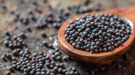 Siyah hardal tohumunu kimler kullanamaz Siyah hardal tohumunun yan etkileri ve zararları var mıdır Siyah hardal tohumunu kimler kullanamaz Siyah hardal tohumunun yan etkileri ve zararları var mıdır