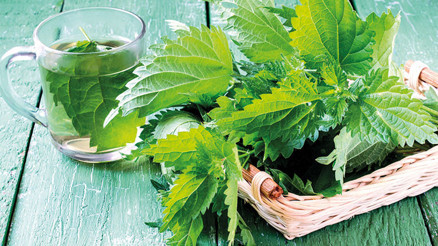 Sofralara hem renk hem tazelik katın