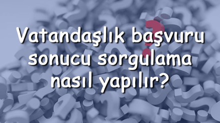 Vatandaşlık başvuru sonucu sorgulama nasıl yapılır E-Devlet üzerinden vatandaşlık başvurusu sonucu nasıl öğrenilir
