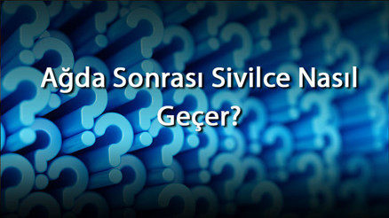 Ağda Sonrası Sivilce Nasıl Geçer Ağda Sonrası Oluşan Sivilcelere Ne İyi Gelir Ve Ne Yapılır