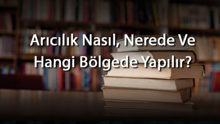 Arıcılık Nasıl, Nerede Ve Hangi Bölgede Yapılır Arıcılık Nerelerde Gelişmiştir Ve Ne Kadar Kazandırır