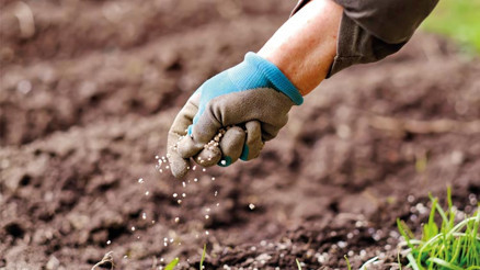 Gübre soruşturmasında uzlaşma talebi